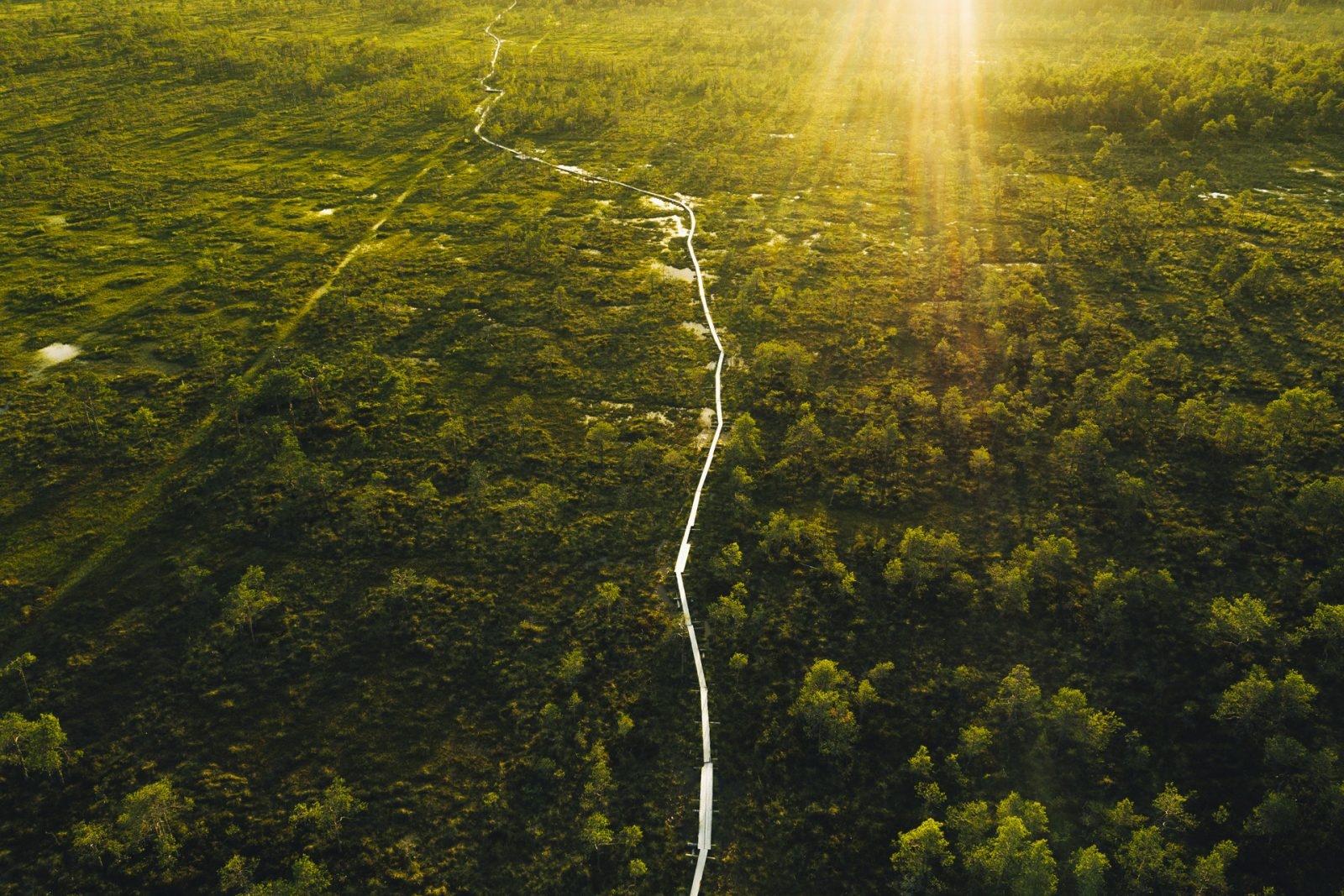 Kansainvälinen People and Planet -konferenssi Lahtessa